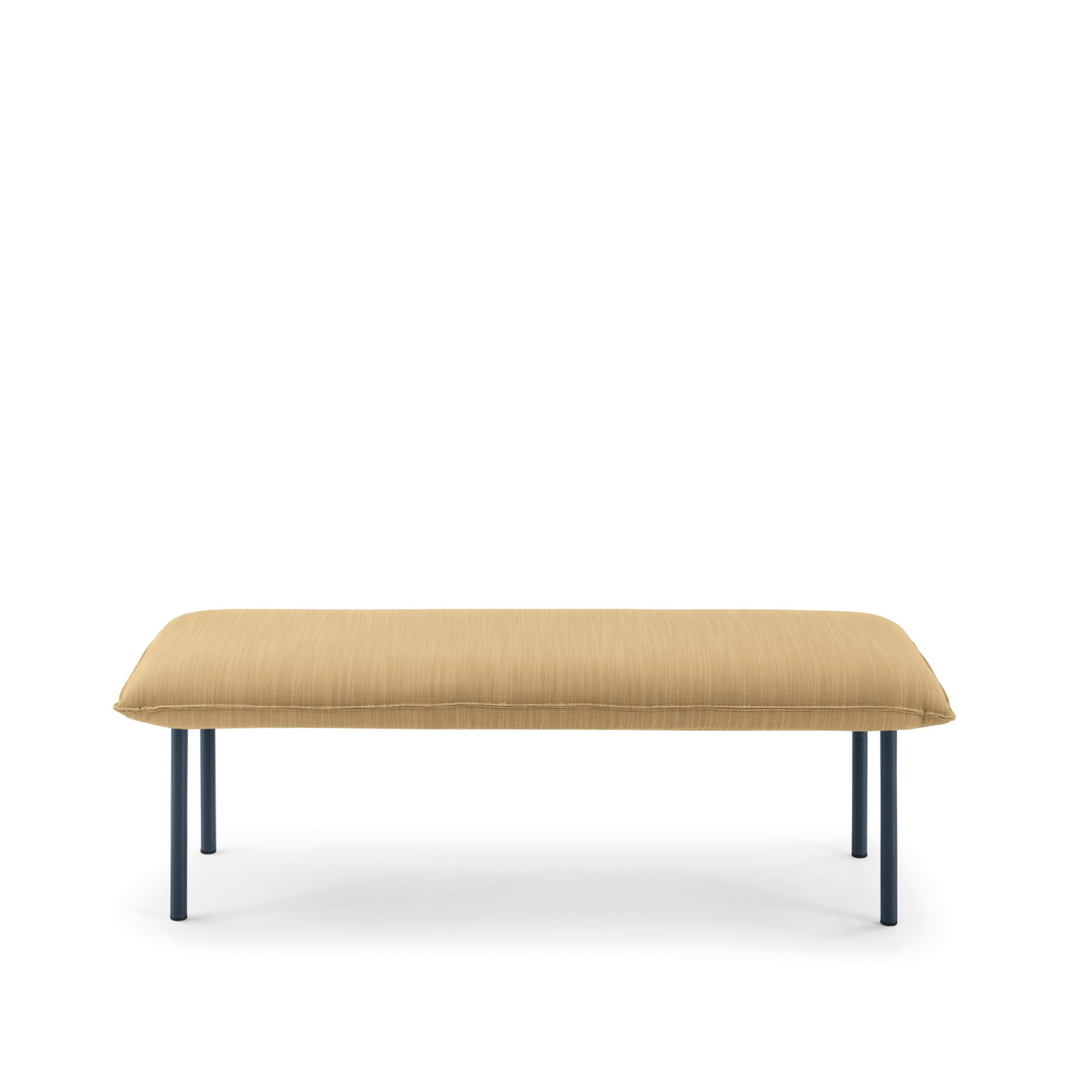 Jill Bench