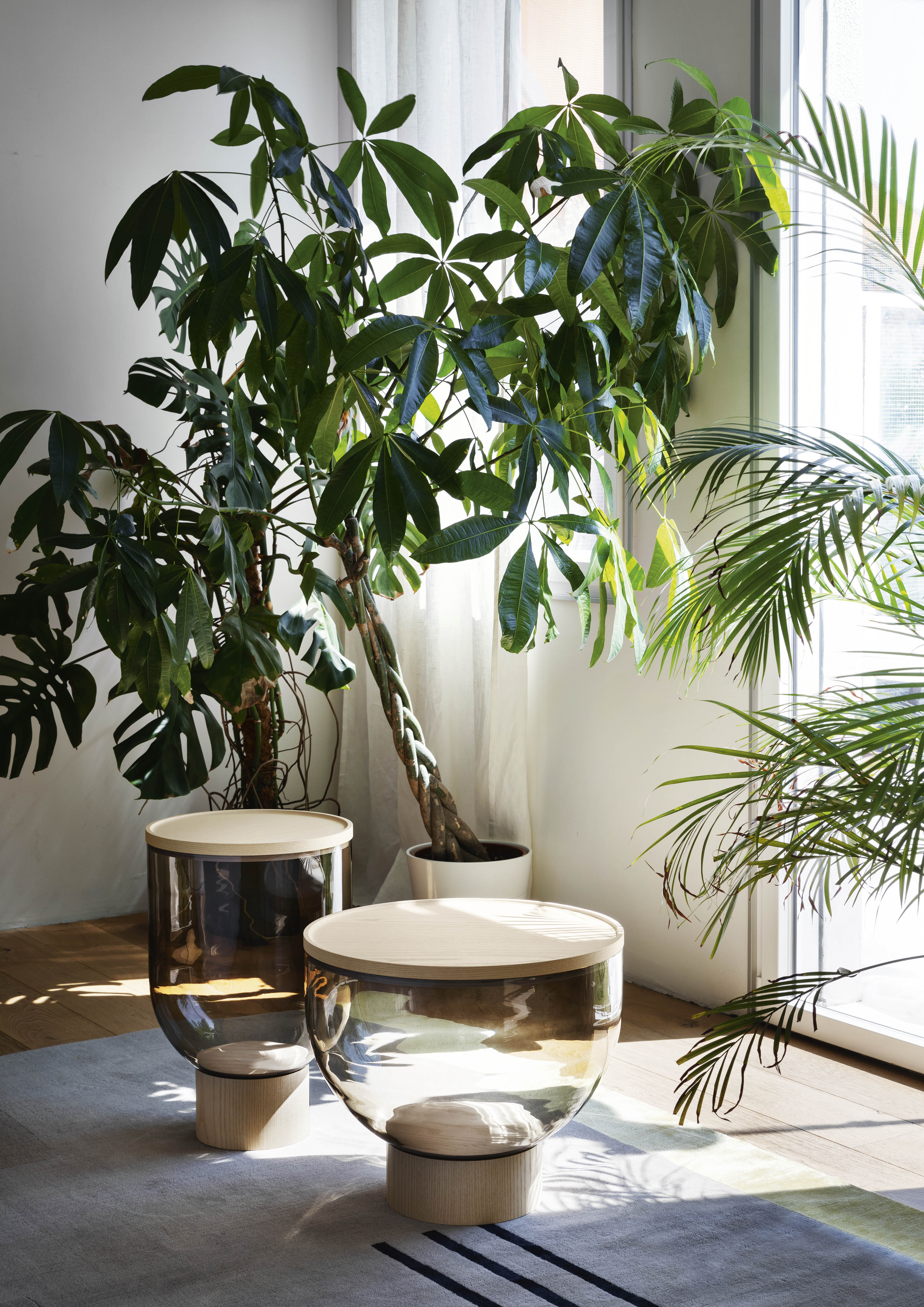 Mastea Coffee Table